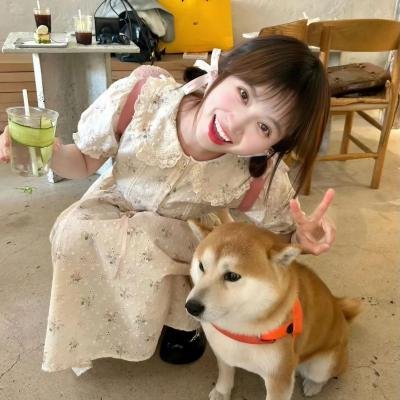 喜剧生活