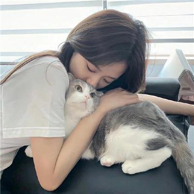 八角笼